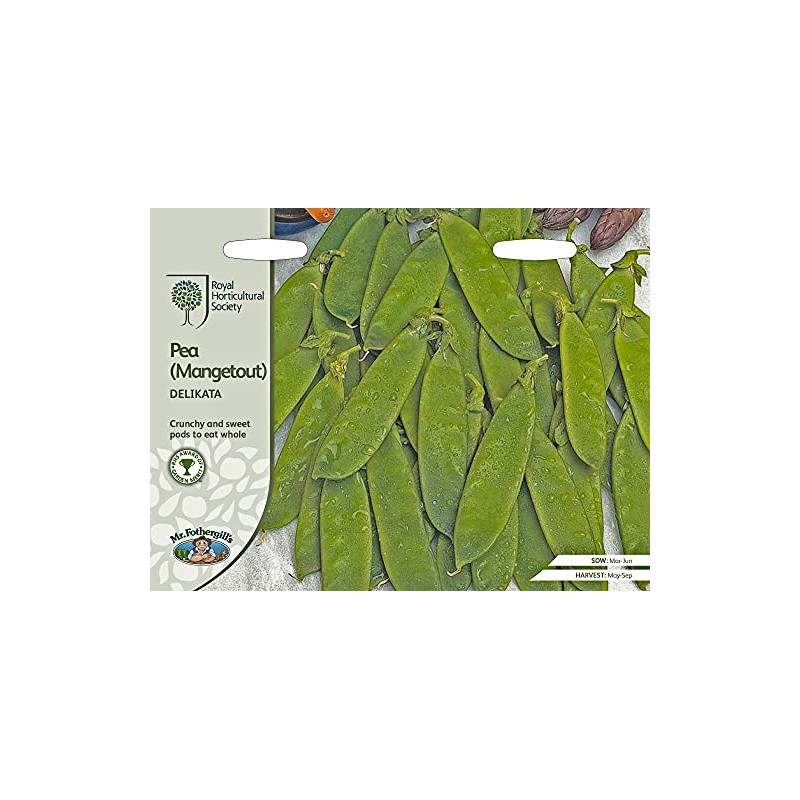 Mr Fothergills - Vegetable - RHS Pea (Mangetout) Delikata -
