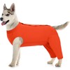 Kuoser Dog Surgery Suit Female Spay Male Neuter, Dog Leg