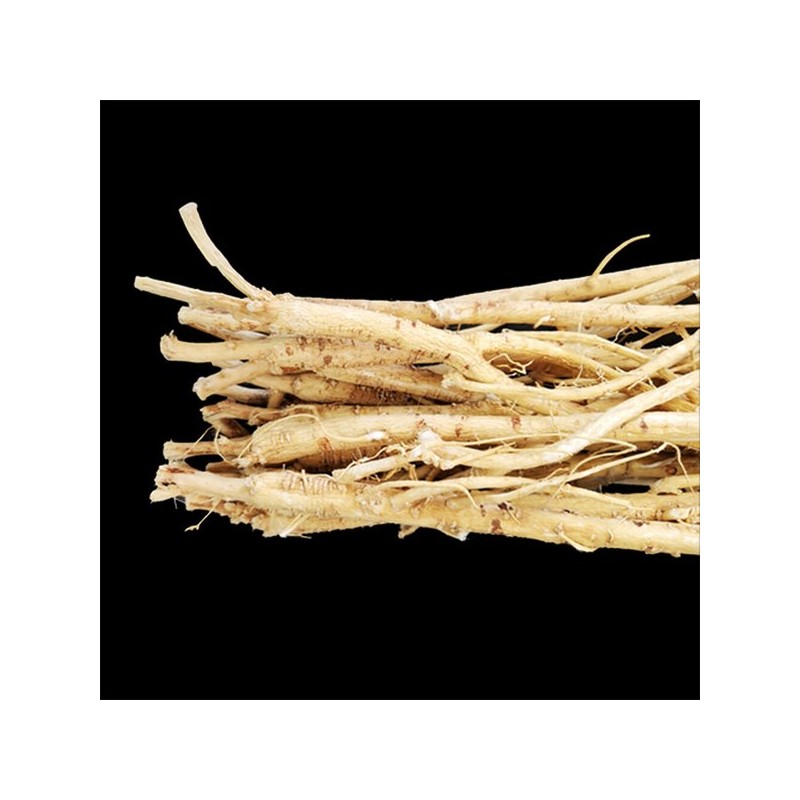 황기/100g/1년근 황기/정선황기/강원도 황기/백숙용황기 황기의 본고장 정선 Astragalus/100g/1-Year-Old Astragalus/Jeongseon Astragalus/Gangwon-do Astragalus/For
