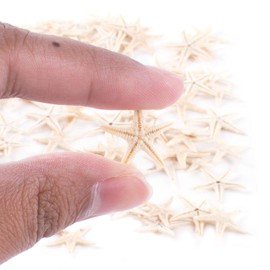 Tiny Miniature Fairy Garden Beach Critter Starfish Marine Life Collection for Arts & Crafts Projects, Decorations, Party Favors, Invitations (90 Pieces)