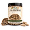 Hongos Adaptógenos Suplemento Hongo Cola Pavo 120 Cápsulas Extracto 100