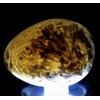 2.3" 130g White Orange Scolecite Sprays Carved into Egg Polished