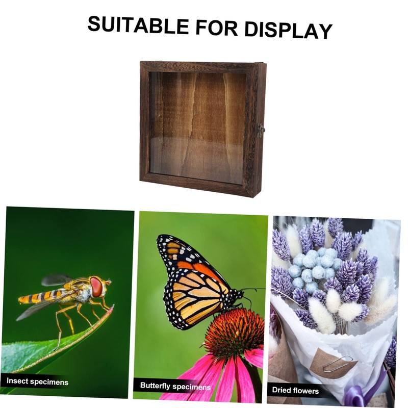Alipis Wooden Frame Shadow Box Vintage Specimen Display Butterflies Specimen