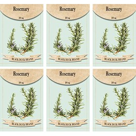 Set of 6 Vegetable Seed Packs - Create a Deluxe Garden - All Seeds are Heirloom - 100% Non-GMO (Rosemary Seeds)