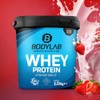 Bodylab24 Whey Protein Pulver, Erdbeer, 1kg