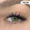 XILIWUS Blisora Magnetic Lashes, Blisdora Original Sandwich Lashes, Reusable Magnetic