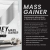 Suplemento Polvo Psn Whey Protein Mass Gainer 8kg Galleta