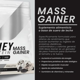 Suplemento Polvo Psn Whey Protein Mass Gainer 8kg Galleta