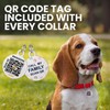 Rolled Leather Dog Collar Soft Round Collars, ID Tag for