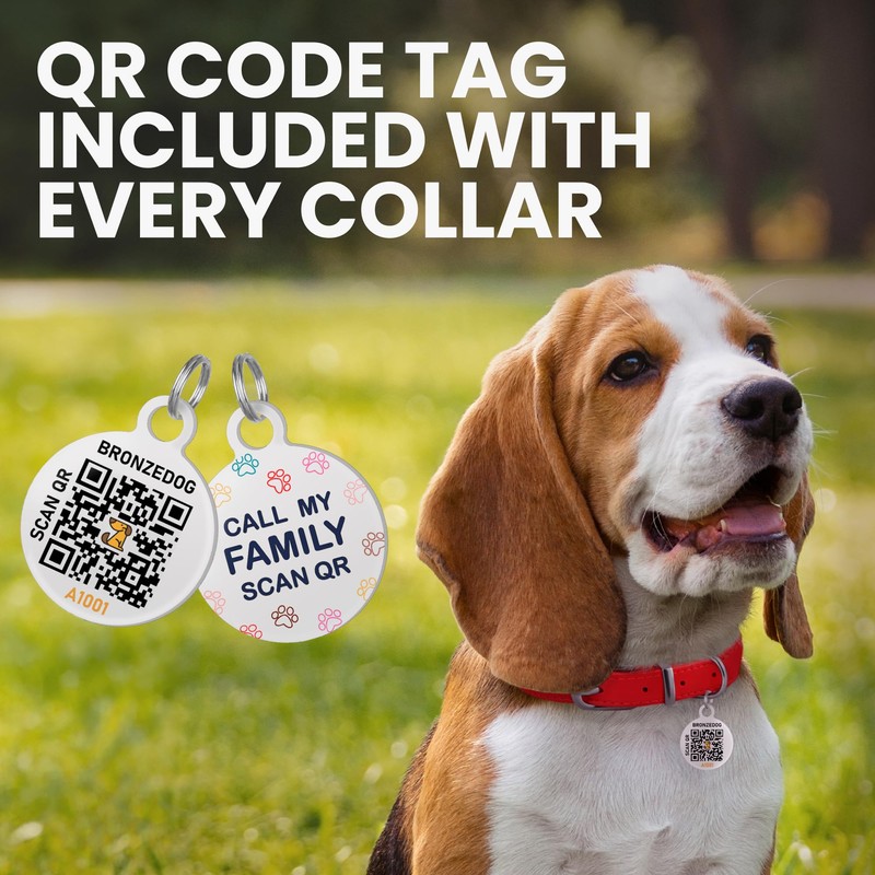 Rolled Leather Dog Collar Soft Round Collars, ID Tag for