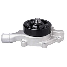 IRONTREE AW7160 Professional Water Pump Kit with Gasket for Dodge Ram1500 Dakota Durango Jeep Grand Cherokee, 3.9L V6 5.2L 5.9L V8 Engine, OE Replacement