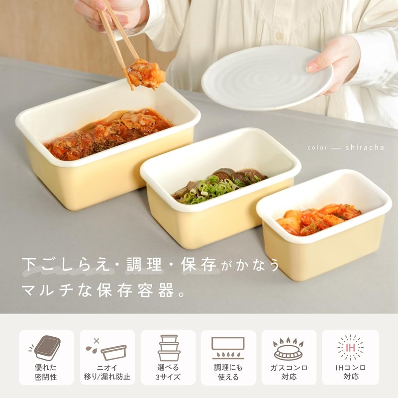 atRise Storage Container, Preserves Freshness and Tastiness with Airtight Lid,
