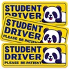 Student Driver Please Be Patient Car Magnet, Yellow Panda Series