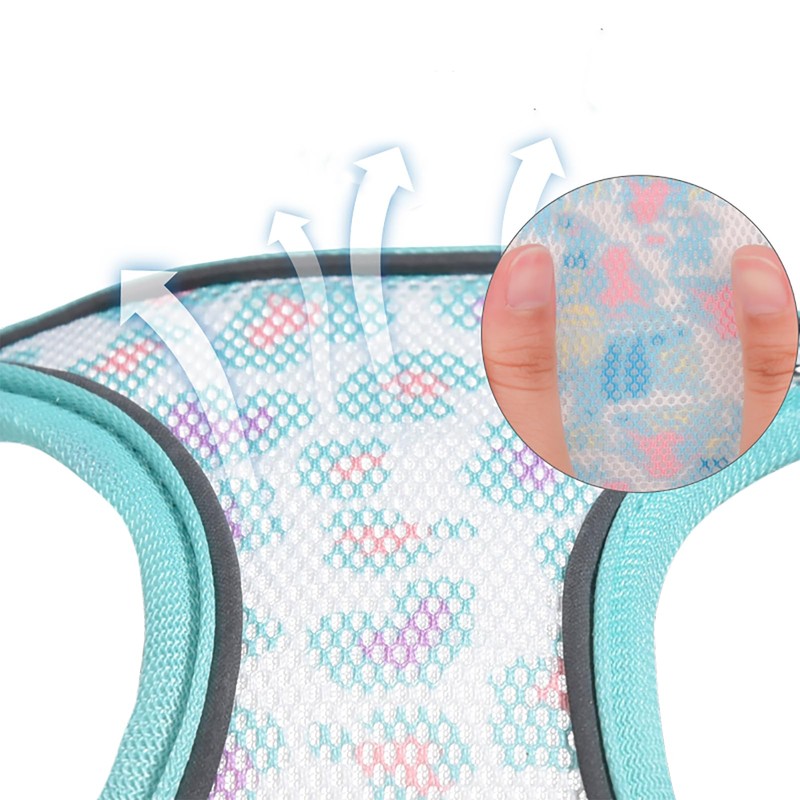 BTDCFY Step-in Dog Harness and Leash Set - Breathable Air