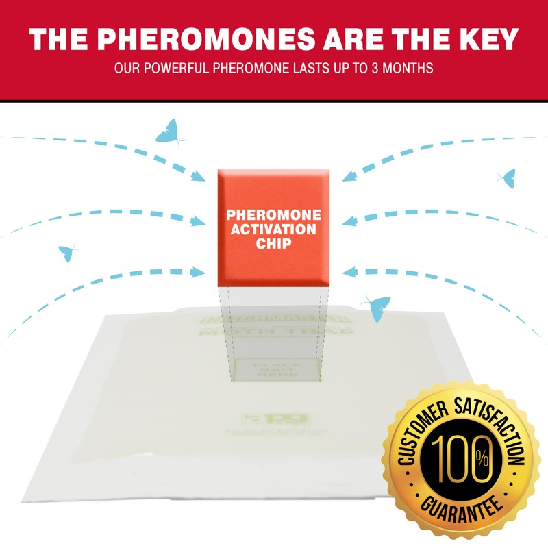 Catchmaster Pantry Pest & Moth Traps 6-Pk, Bug Killer for