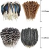 40pcs Natural Pheasant Feathers, Spotted Feathers, Turkey Feathers, 4 Styles