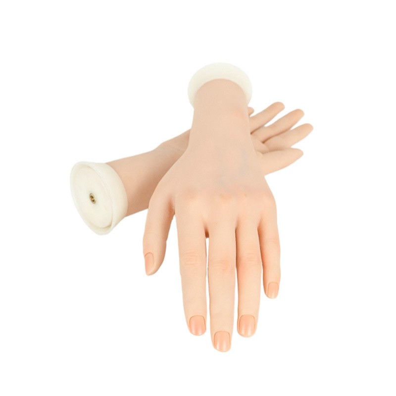 Colcolo Mannequin Hand Realistic Female Hand Practice Model for Beginners
