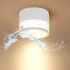 Temgin IP65 Ceiling Light Surface-Mounted White Matt LED 12 W