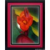 Georgia O'keefe Print Flowers Red Canna Framed & Matted A+