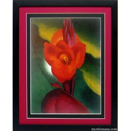 Georgia O'keefe Print Flowers Red Canna Framed & Matted A+ Quality