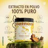 Commons Hongos Adaptógenos Hongo Chaga Extracto Puro Polvo 100 Suplemento