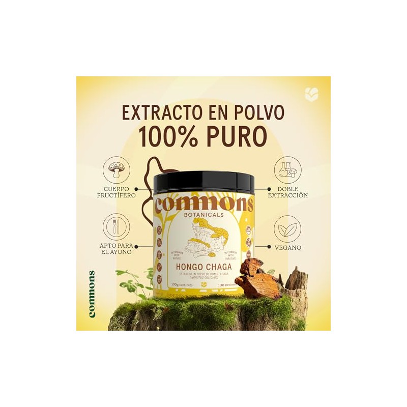 Commons Hongos Adaptógenos Hongo Chaga Extracto Puro Polvo 100 Suplemento