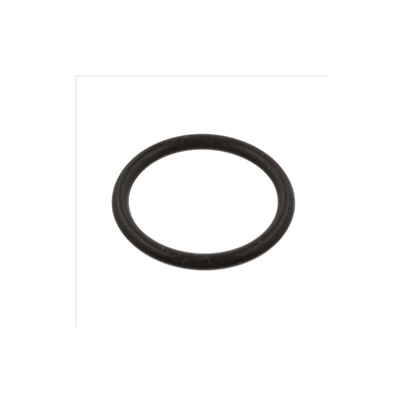 Febi 39732 O-Ring Fuel Filter