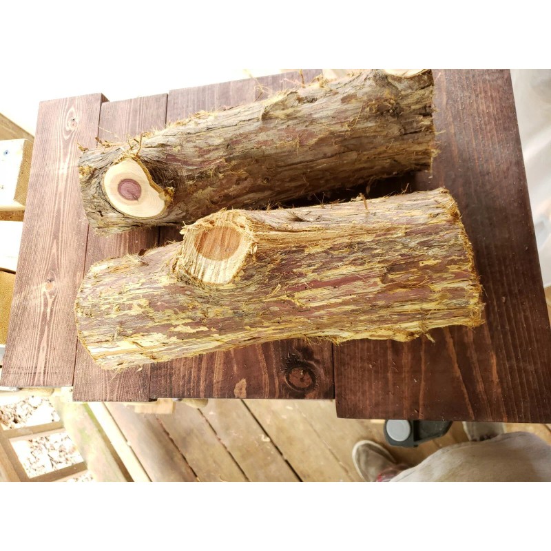 Cedar Grove 2 Eastern Red Cedar Logs Wood Blanks Crafts