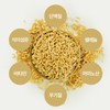 Kim So-hyung's studio Kamut Enzyme Powder Powder Kamut Brand Wheat