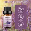 Sedbuwza Lavender Essential Oil, Pure Organic Lavender Fragrance Oil for