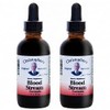 Christopher's Original Formulas Blood Stream Formula, 2 oz Glycerine Extract