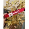 Vulpez Collar Perro Personalizable Ajustable Colores Gato