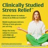 MegaFood Superfood Mushroom Stress Relief - Reishi Mushroom Supplement Clinically