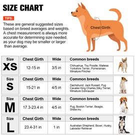 BEAUTYZOO No Pull Dog Harness and Leash Set - Adjustable Step-in Puppy Harness for Small Medium Large Dogs, Escape Proof Soft Nylon Vest with Double D Ring for Walking Running Training, L