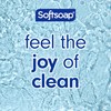 Softsoap Body Wash, Honeysuckle & Orange Burst Body Wash, 20