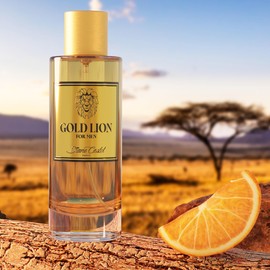 Diane Castel Offense - Citrus Woody Fragrance - Cologne for Men - Mens Cologne - Fresh Opening of Lemon, Orange, Grapefruit, and Pear - 3.3 oz