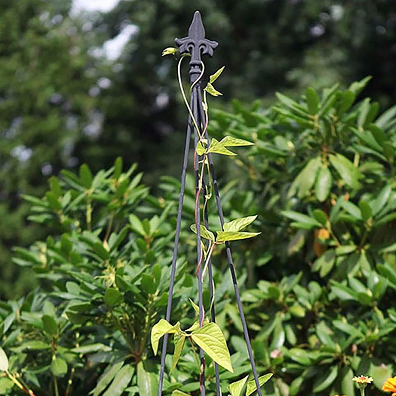 BestNest Achla Fleur-De-Lis Topiary Frames, 58 in Tall, Pack of