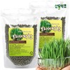 Domestic barley sprout pills, barley sprout pills 300g x 2 packs / 국내산 보리새싹환 새싹보리환 300g x2팩