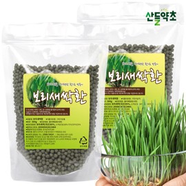 Domestic barley sprout pills, barley sprout pills 300g x 2 packs / 국내산 보리새싹환 새싹보리환 300g x2팩