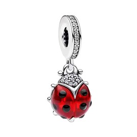 Annmors 925 Sterling Silver Charms fit Bracelets Necklaces Red Ladybird Dangle Beads with 5A Cubic Zirconia Christmas Valentine Mother's Day Gift Charms for Women