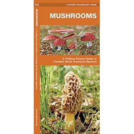 Mushrooms: A Folding Pocket Guide to Familiar North American Species (Wildlife and Nature Identification)