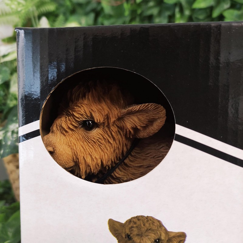 Vivid Arts - Highland Cattle Calf - PP-HLCF-F