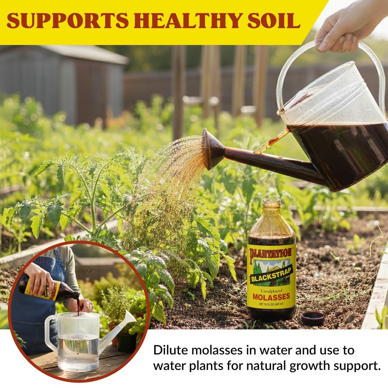 Plantation Blackstrap Molasses 15 oz Bottle – Unsulphured, Rich Robust