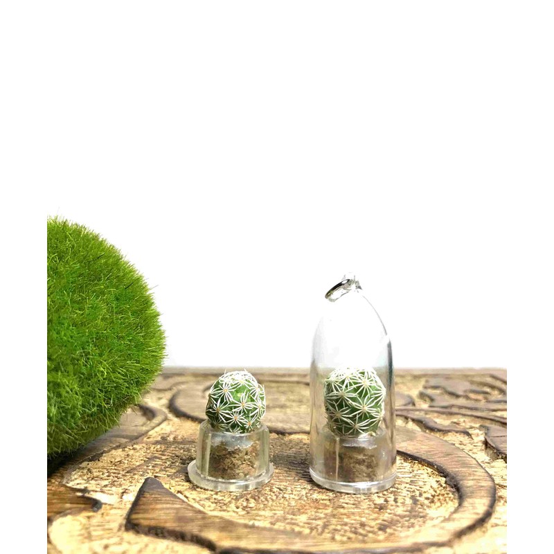 MICRO LANDSCAPE DESIGN Live Wearable Cactus Necklace Miniature White Cactus