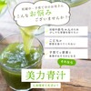 ミッシーリスト 美力青汁 4g×30包 青汁 国産 無添加 粉末 大麦若葉 乳酸菌 菌活