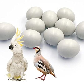 10Pcs Fake Bird Eggs,Stop Egg Laying for Cockatiels, Green Cheeks, Lovebird, Ringneck Dove, Lorikeet