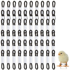 60 Pieces Baby Chicken Splay Leg Hobble Brace (Black)