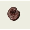 Commons Hongo Reishi en polvo, Suplemento Alimenticio, 50g