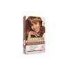 L'Oréal Paris Excellence 6.41 hair colour - Light Amber Bronze