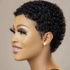 Short Afro Curly Human Hair Wig Women, Short Afro Curly